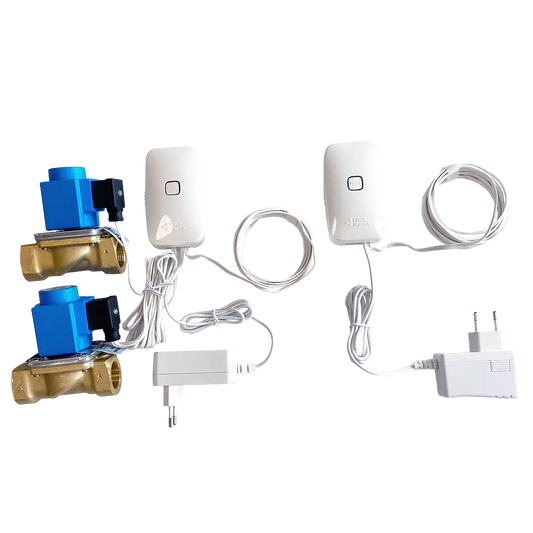 Leakage Switch Wireless_2Valves_3_4_System for Hot_Cold Water